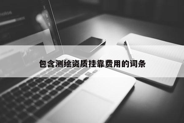 包含測(cè)繪資質(zhì)掛靠費(fèi)用的詞條